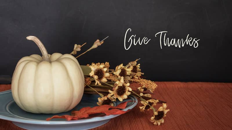 Gratitude – Shopping In November